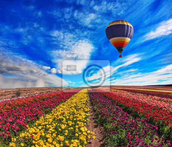 Фотообои -  Яркий цветочный пейзаж артикул 10007757
