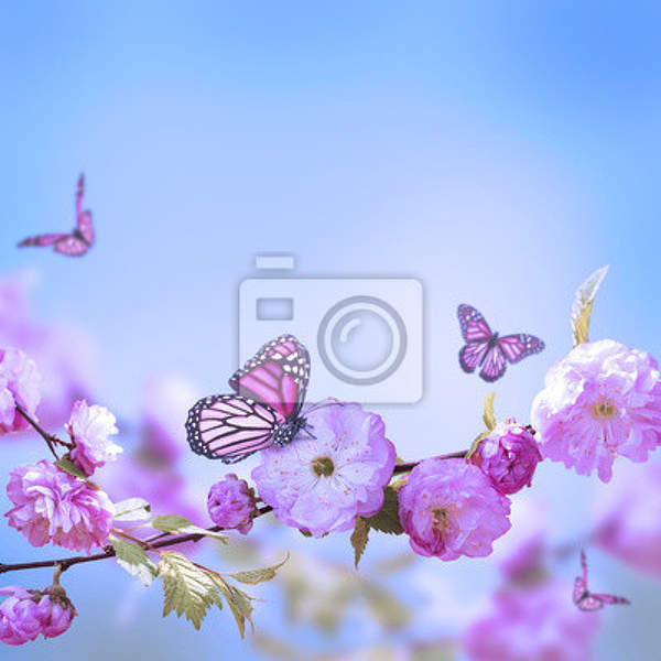 Фотообои с цветущей сакурой и бабочками артикул 10002124
