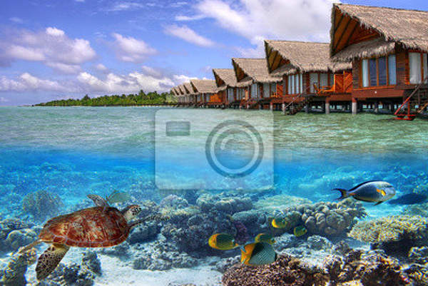 Фотообои с пейзажем на Мальдивах артикул 10001594