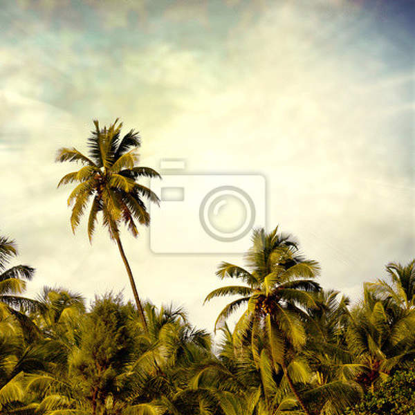Фотообои на стену с пальмами в ретро стиле артикул 10001390