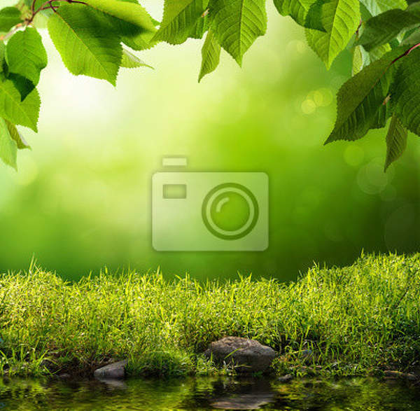 Фотообои с природой (фон, зелень) артикул 10002060