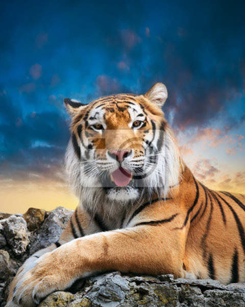Фотообои с красивым тигром артикул 10002379
