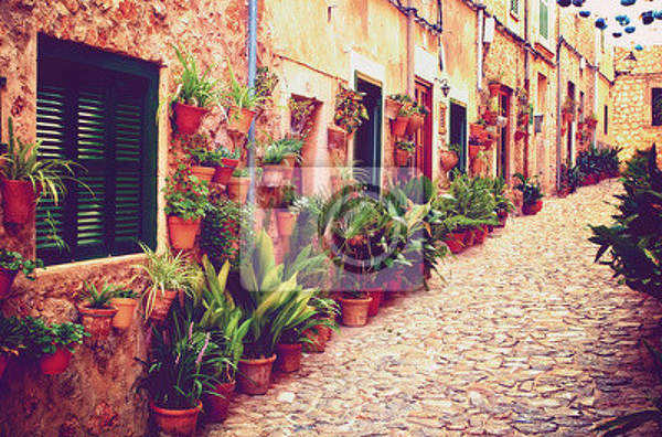 Фотообои со средневековой улицей в цветах артикул 10002927
