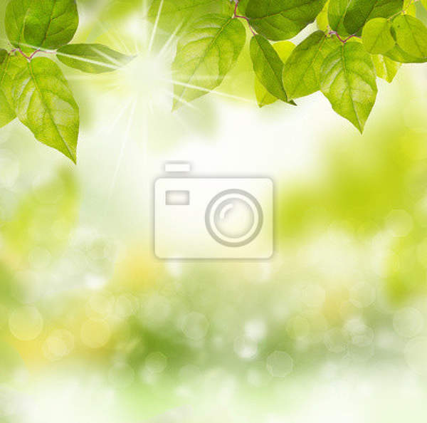 Фотообои - Зеленая весенняя листва артикул 10003087