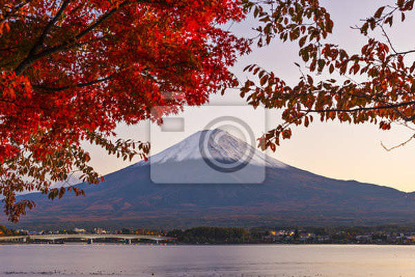 Фотообои "Вид на вулкан в Японии" артикул 10002314