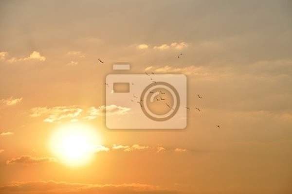 Фотообои - Солнце и небо артикул 10002909