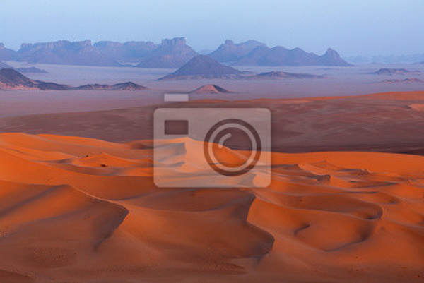 Фотообои - пустыня Сахара артикул 10002523