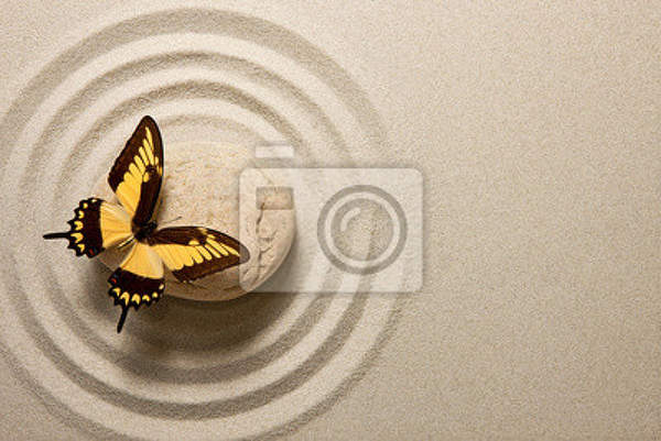 Фотообои в стиле дзен - Бабочка на камне артикул 10002938
