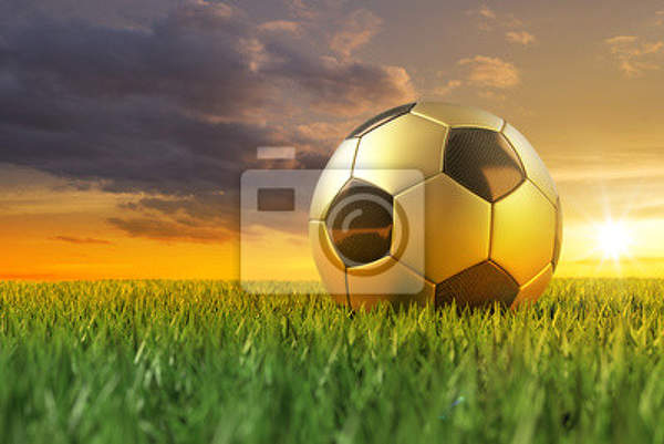 Фотообои с футбольным мячом на траве артикул 10002707
