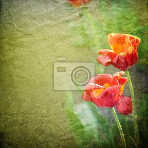Фотообои с тюльпанами на винтажном фоне артикул 10003107