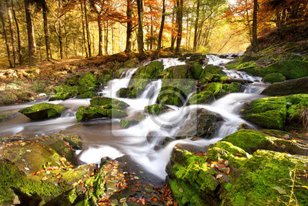 Фотообои с красивым лесным водопадом артикул 10002357