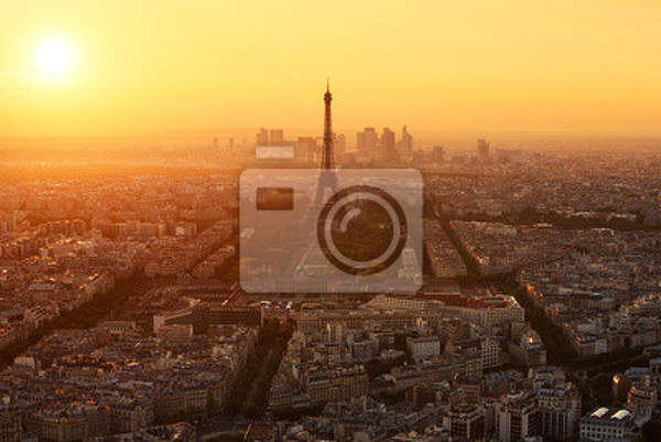 Фотообои "Париж" (вид с высоты) артикул 10002453
