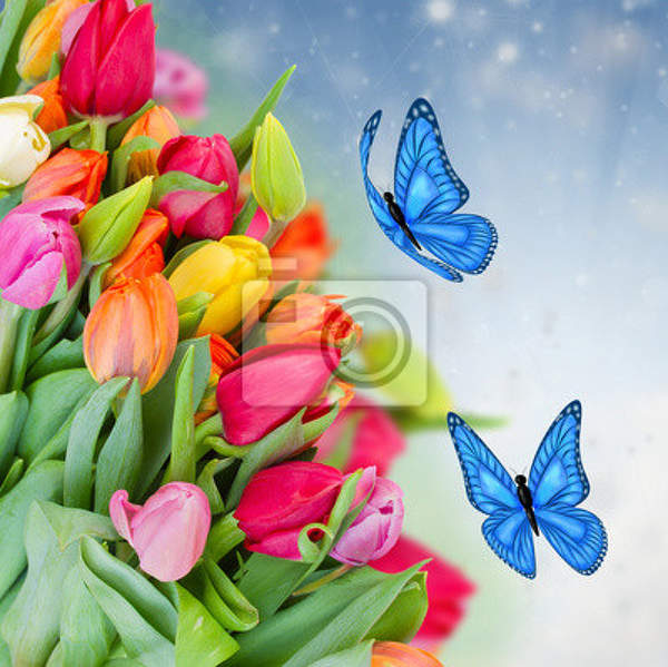 Фотообои - Букет тюльпанов с бабочками артикул 10002861