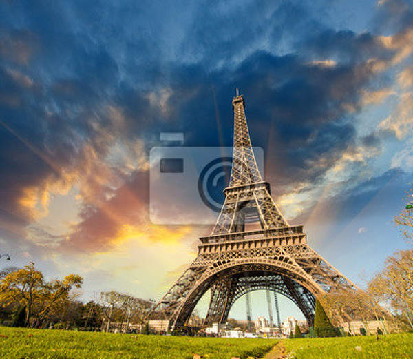 Фотообои с видом на Эйфелеву башню в Париже артикул 10002461
