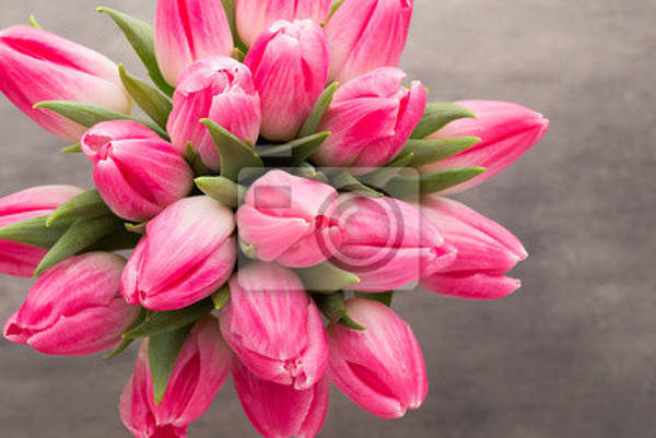 Фотообои с ярко-розовыми тюльпанами артикул 10007822