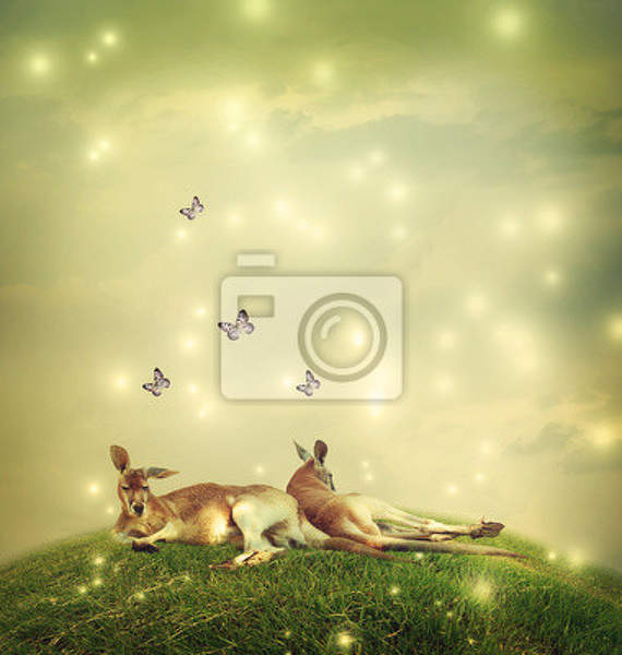 Фотообои - Волшебный пейзаж с кенгуру артикул 10002509