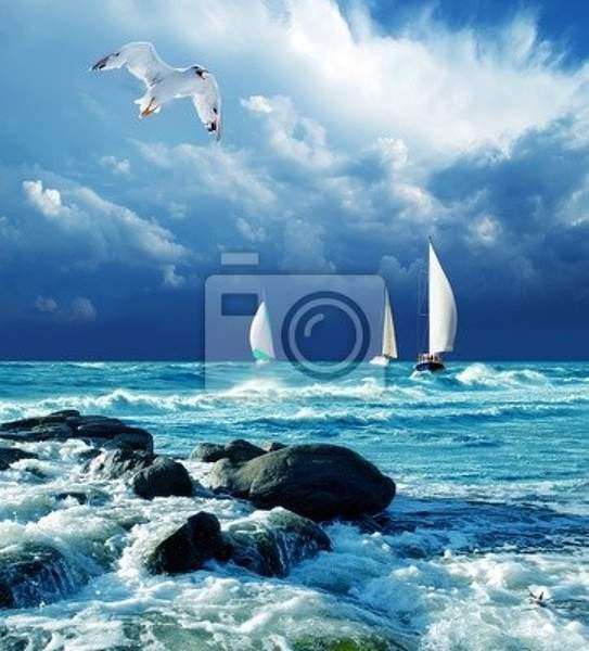 Фотообои на стену "Море и чайки" (пейзаж) артикул 10002449