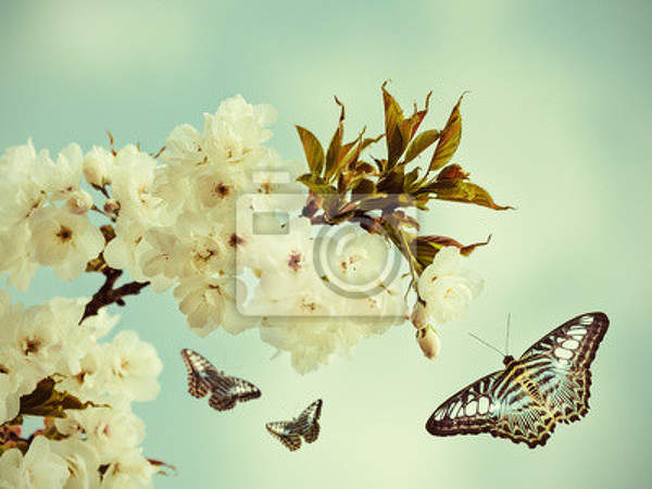 Винтажные обои с бабочкой и цветущей ветвью артикул 10002949