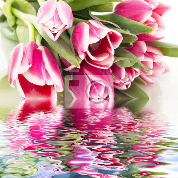 Фотообои - Красивый букет розовых тюльпанов артикул 10002985