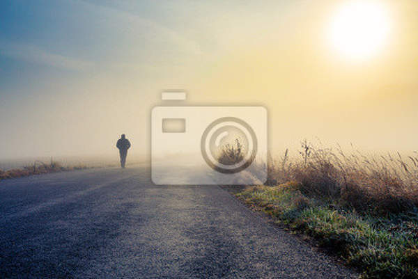 Фотообои - Дорога в тумане артикул 10002551