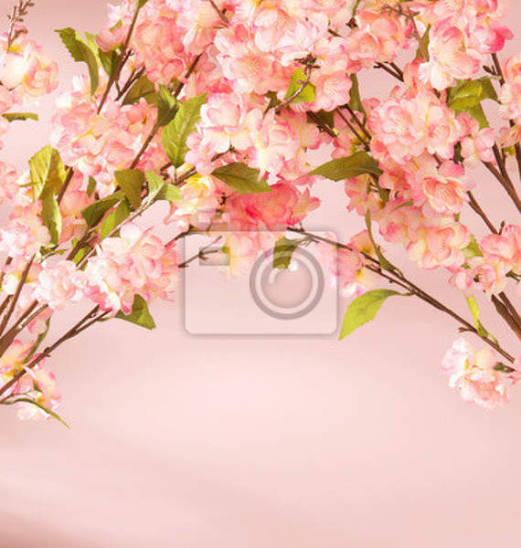 Фотообои - Розовые цветочки на ветви артикул 10003078