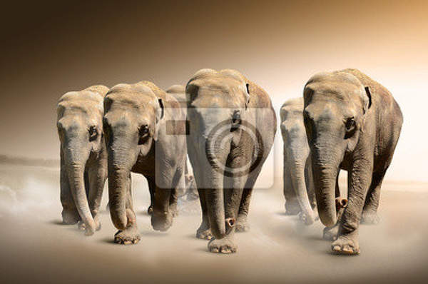 Фотообои со слонами в стиле ретро артикул 10002619
