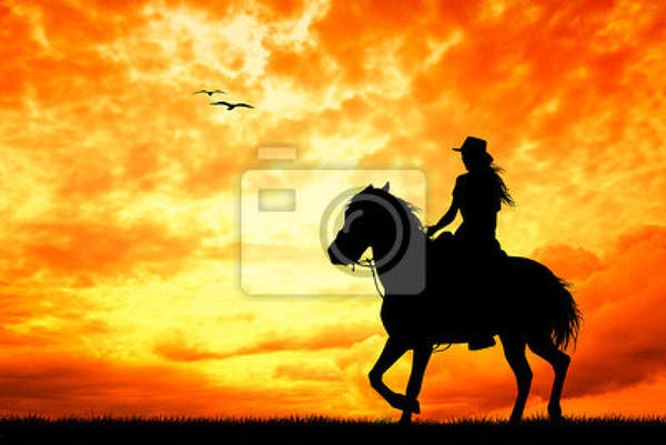 Фотообои - Девушка на коне артикул 10003658