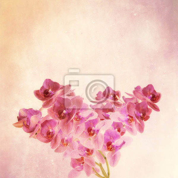 Фотообои - Нежный фиолетовый цвет с орхидеями артикул 10003279