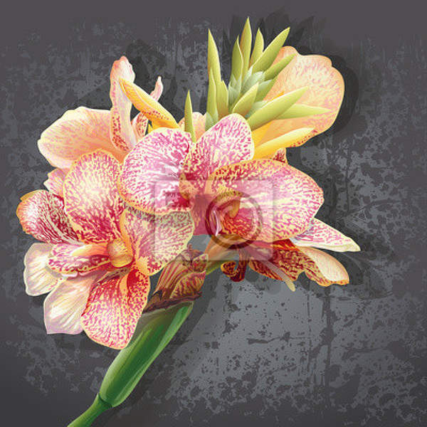 Арт-обои с рисованными орхидеями артикул 10004088
