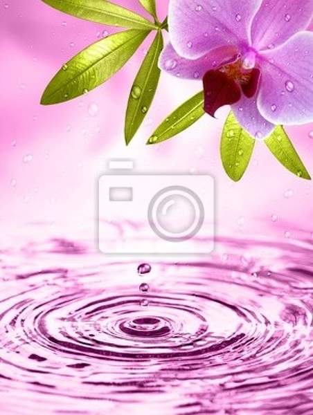 Фотообои - Капля воды на фоне орхидеи артикул 10003266