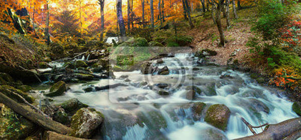 Фотообои с красивым лесным водопадом артикул 10003666