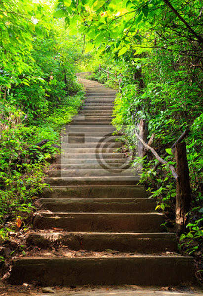 Фотообои с лестницей в лесу артикул 10003669
