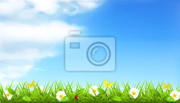 Фотообои - Весенний пейзаж артикул 10004227