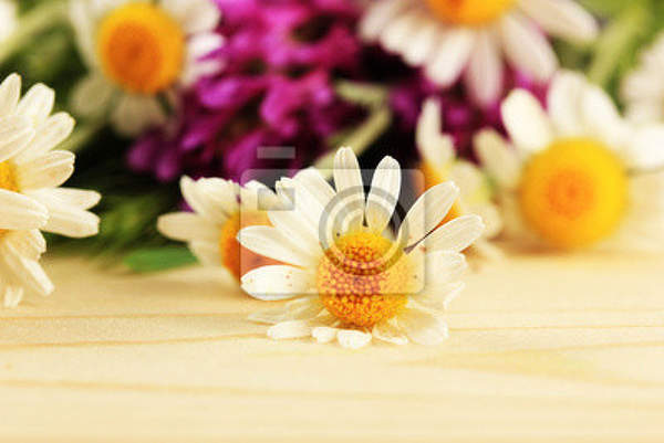 Фотообои - Полевые цветы на деревянном фоне артикул 10003822