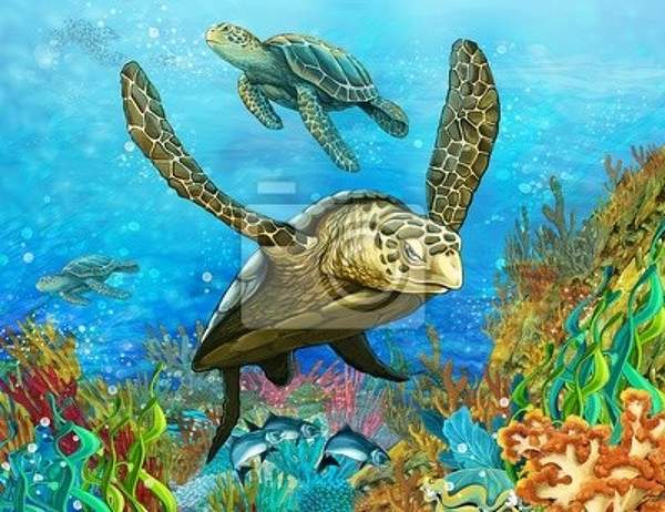 Фотообои - Черепахи и коралловые рифы артикул 10003794