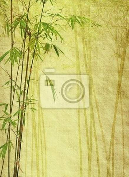 Фотообои - Бамбук на старой бумаге артикул 10004040
