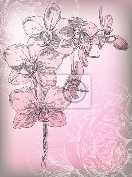 Фотообои - Рисунок орхидеи на светлом фоне артикул 10003306