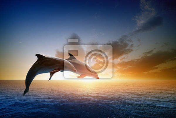 Фотообои - Дельфины в лучах солнца артикул 10003601