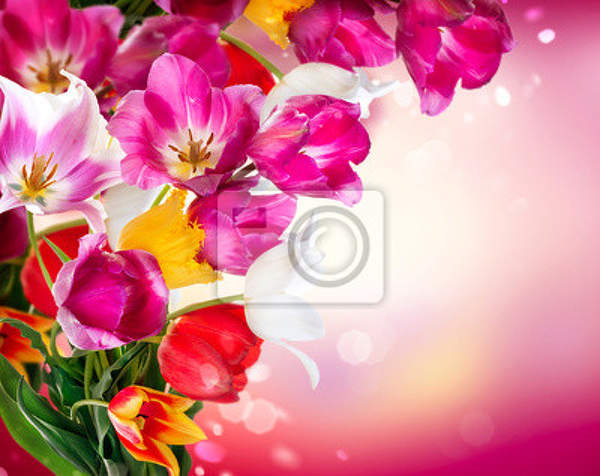 Фотообои - Весенние прекрасные цветы артикул 10003222