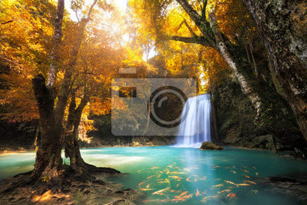 Фотообои - Водопад в глубоком лесу артикул 10003294