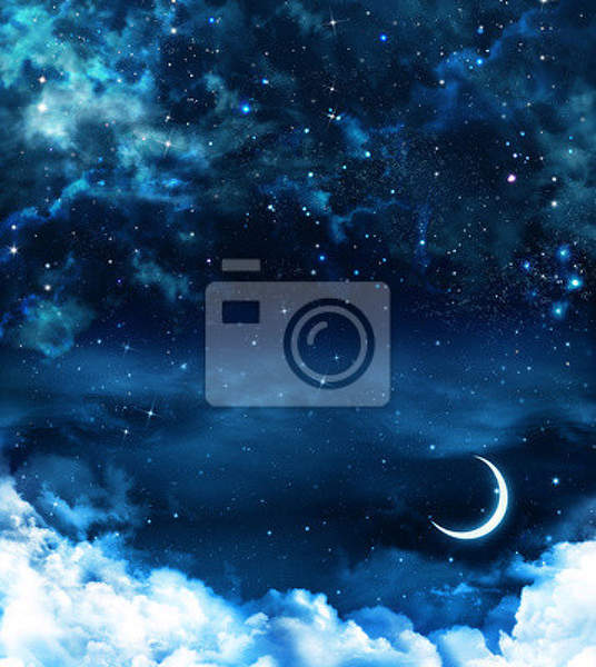 Фотообои - Ночное небо артикул 10004150