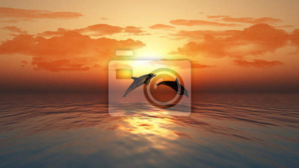 Фотообои - Закат над океаном и дельфины артикул 10003604