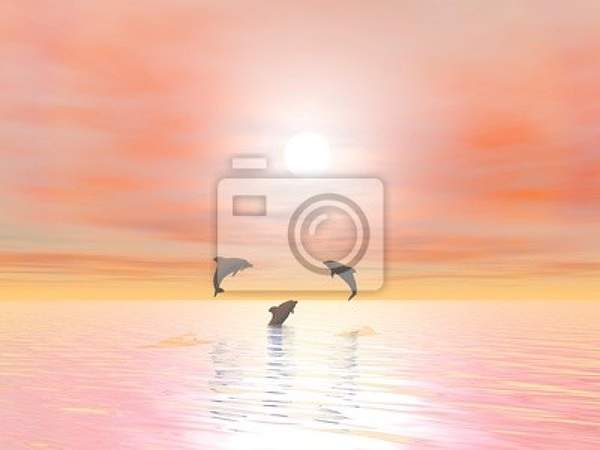 Фотообои со счастливыми дельфинами артикул 10003642
