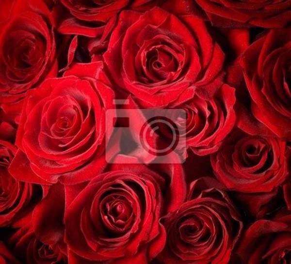 Фотообои на стену с большими красными розами артикул 10003836
