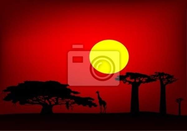 Фотообои - Африканский закат артикул 10003773