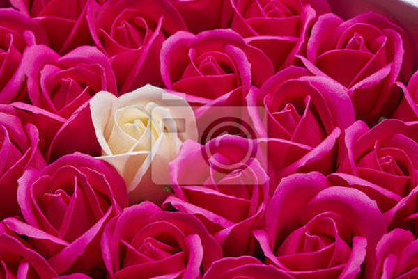 Фотообои - Белая роза на фоне роз артикул 10004175
