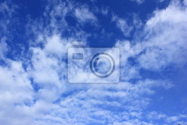 Фотообои - Голубое небо и белые облака артикул 10004133