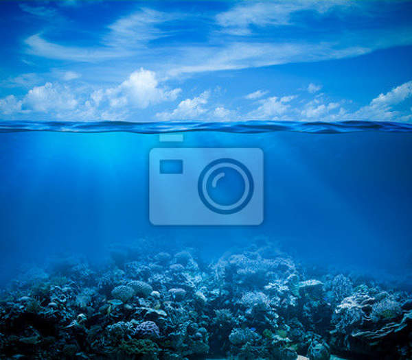 Фотообои - Под водой артикул 10003629