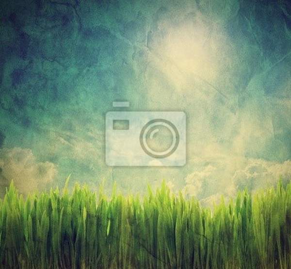 Фотообои - Ретро пейзаж с зеленой травой артикул 10004056