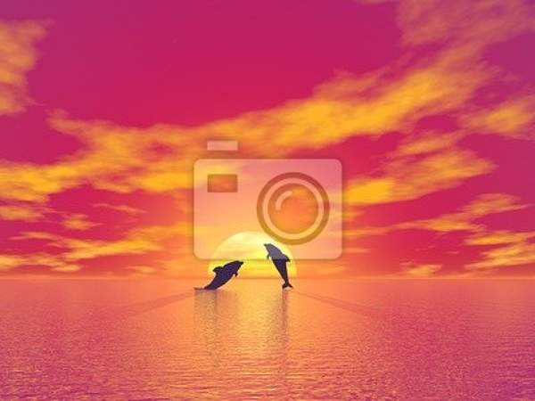 Фотообои - Пара дельфинов на закате артикул 10003639